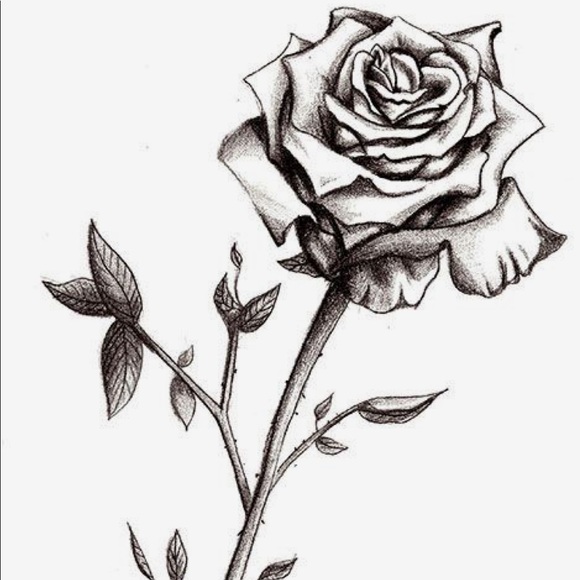 Meet your Posher, Carolina - Picture 1 of 1